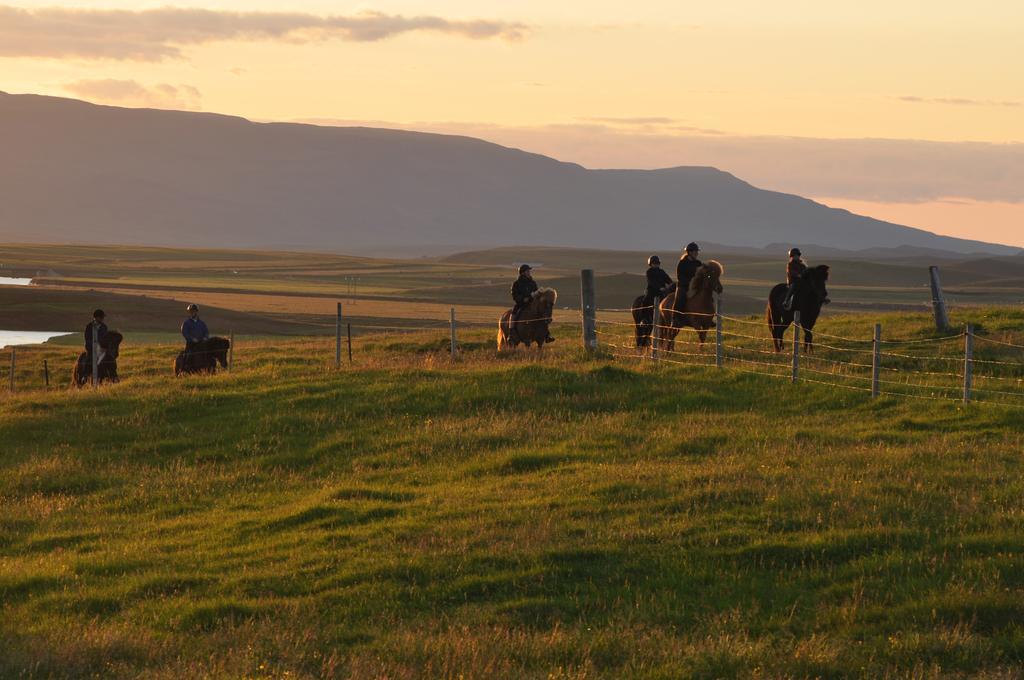 Stora-Asgeirsa Horse Farm Stay Vithigerthi Exterior photo